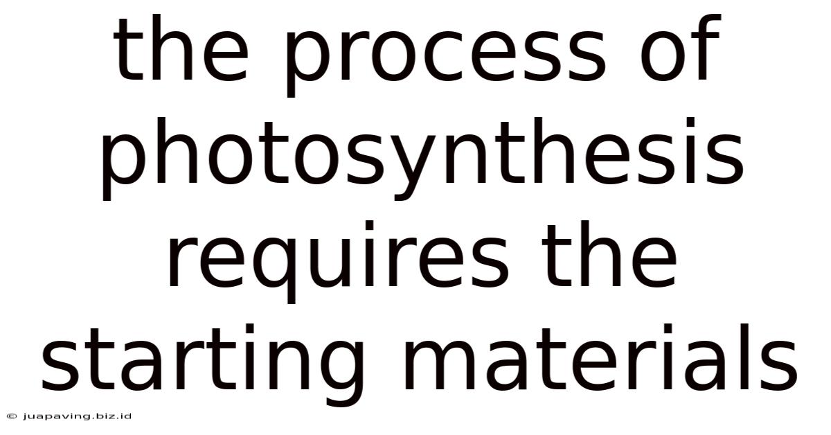 The Process Of Photosynthesis Requires The Starting Materials