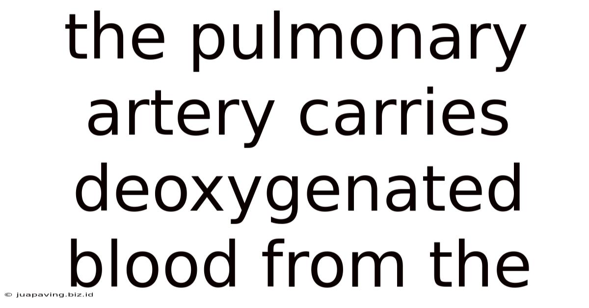 The Pulmonary Artery Carries Deoxygenated Blood From The
