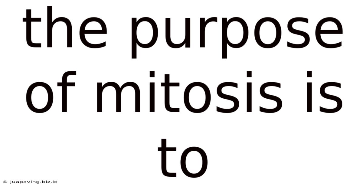 The Purpose Of Mitosis Is To