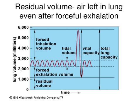 The Purpose Of Residual Air In The Lungs Is To