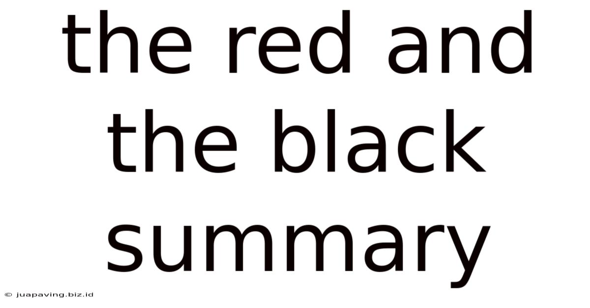 The Red And The Black Summary