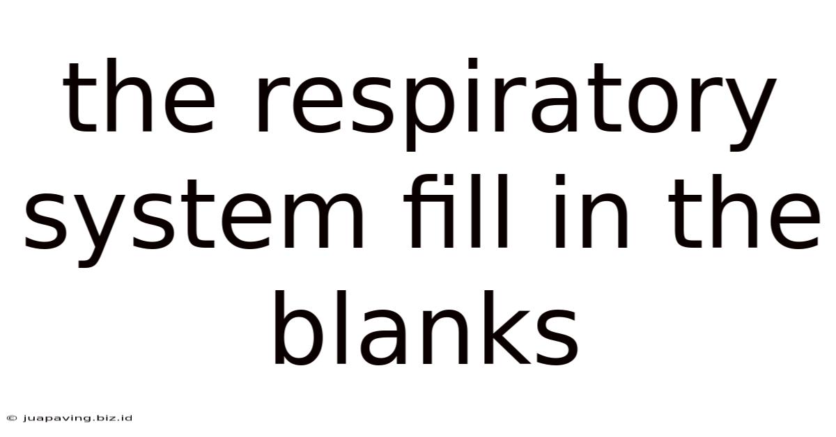 The Respiratory System Fill In The Blanks