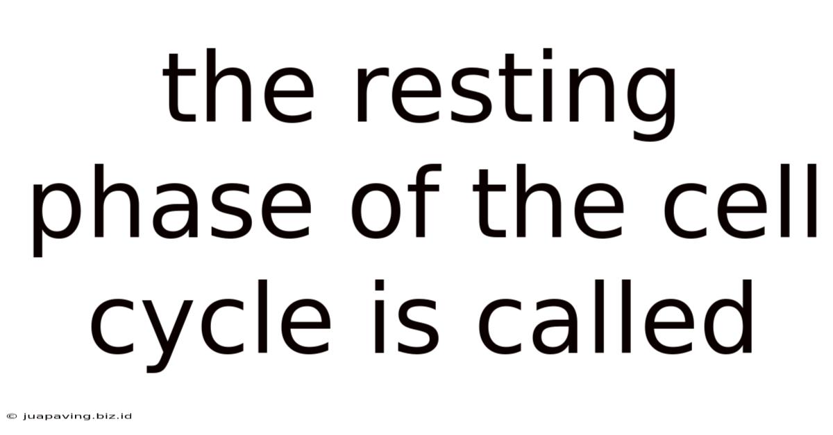 The Resting Phase Of The Cell Cycle Is Called