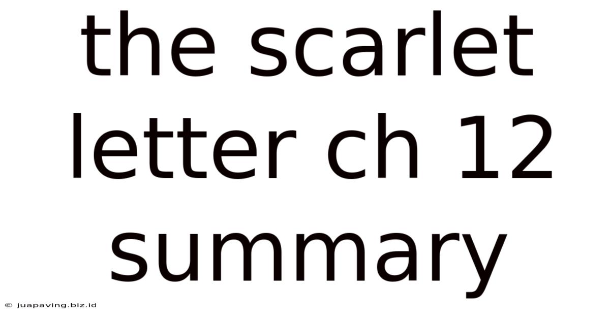 The Scarlet Letter Ch 12 Summary