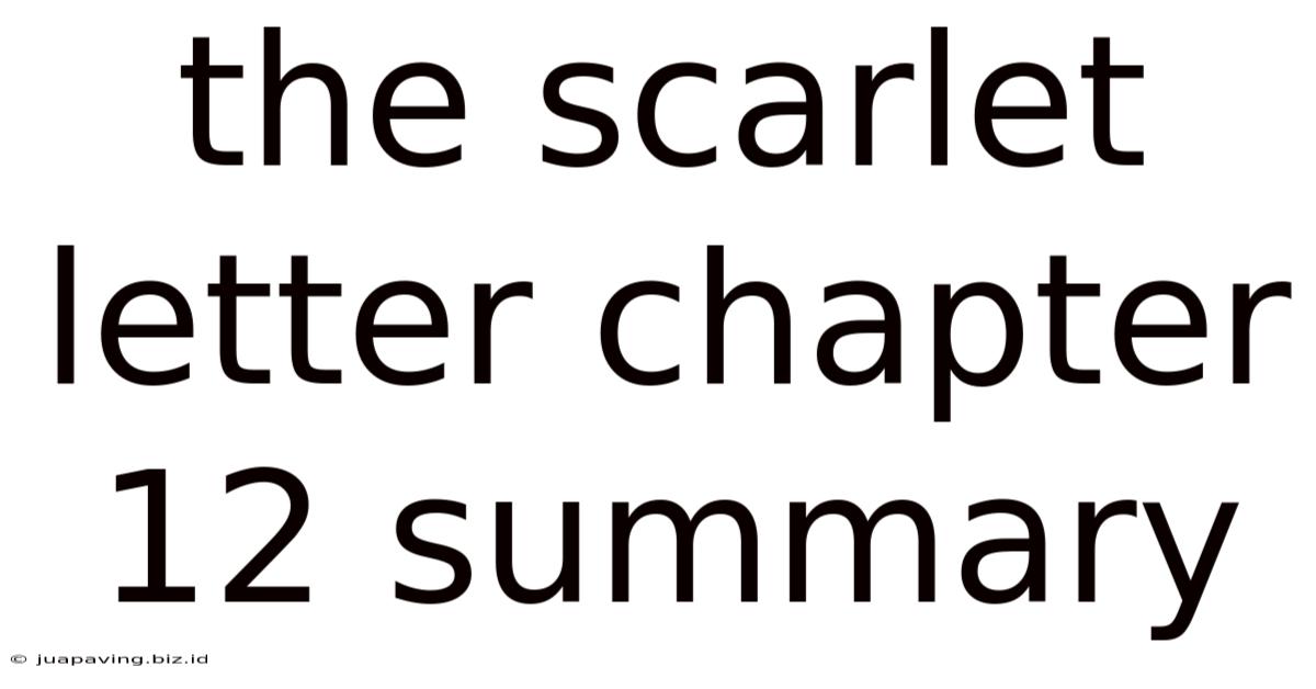 The Scarlet Letter Chapter 12 Summary
