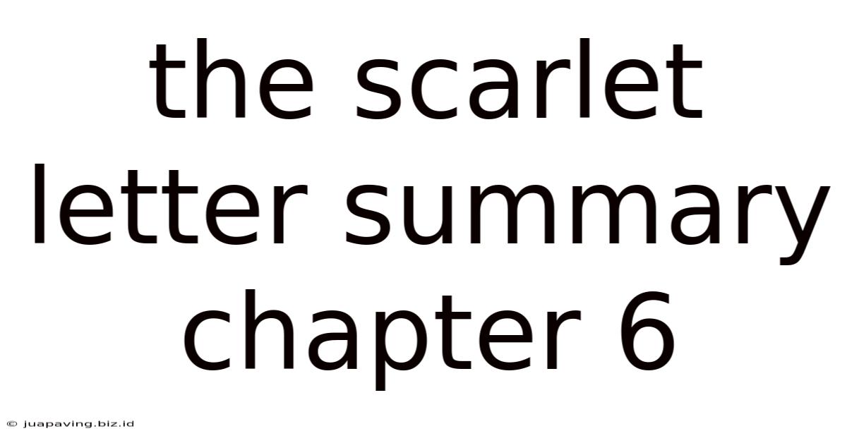 The Scarlet Letter Summary Chapter 6