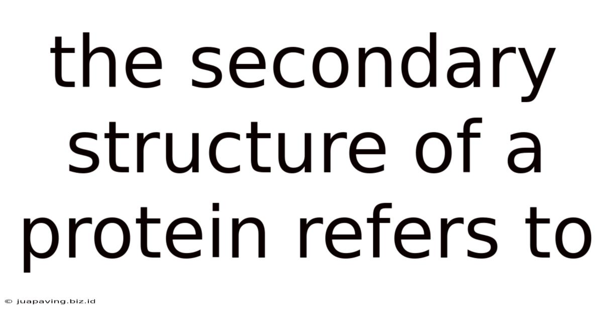 The Secondary Structure Of A Protein Refers To
