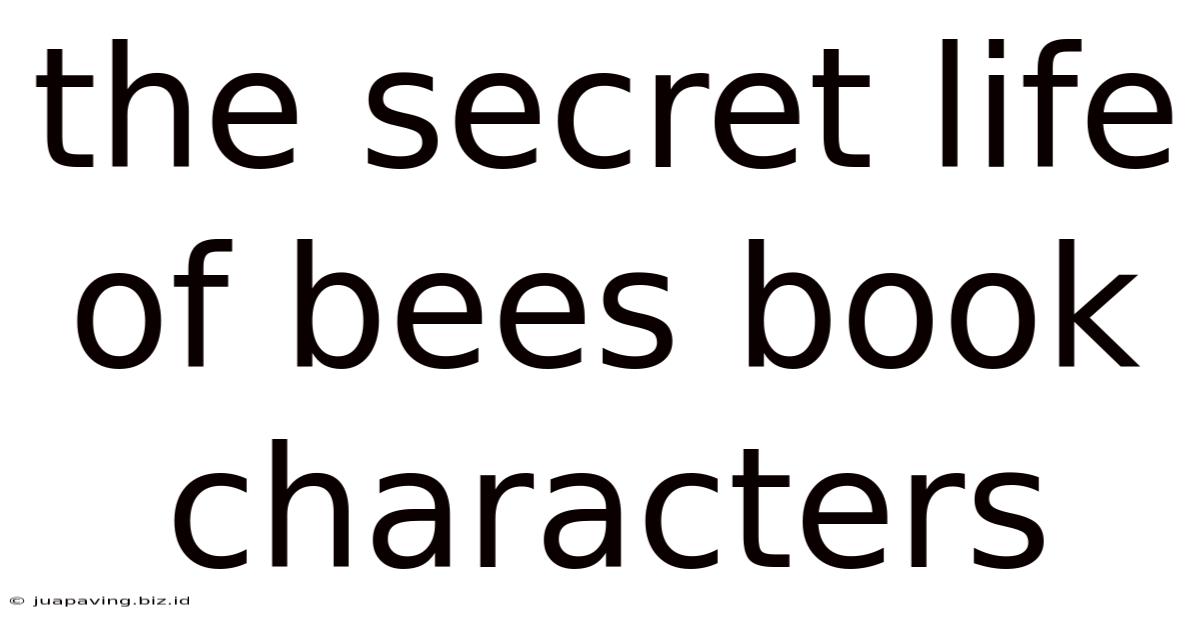 The Secret Life Of Bees Book Characters
