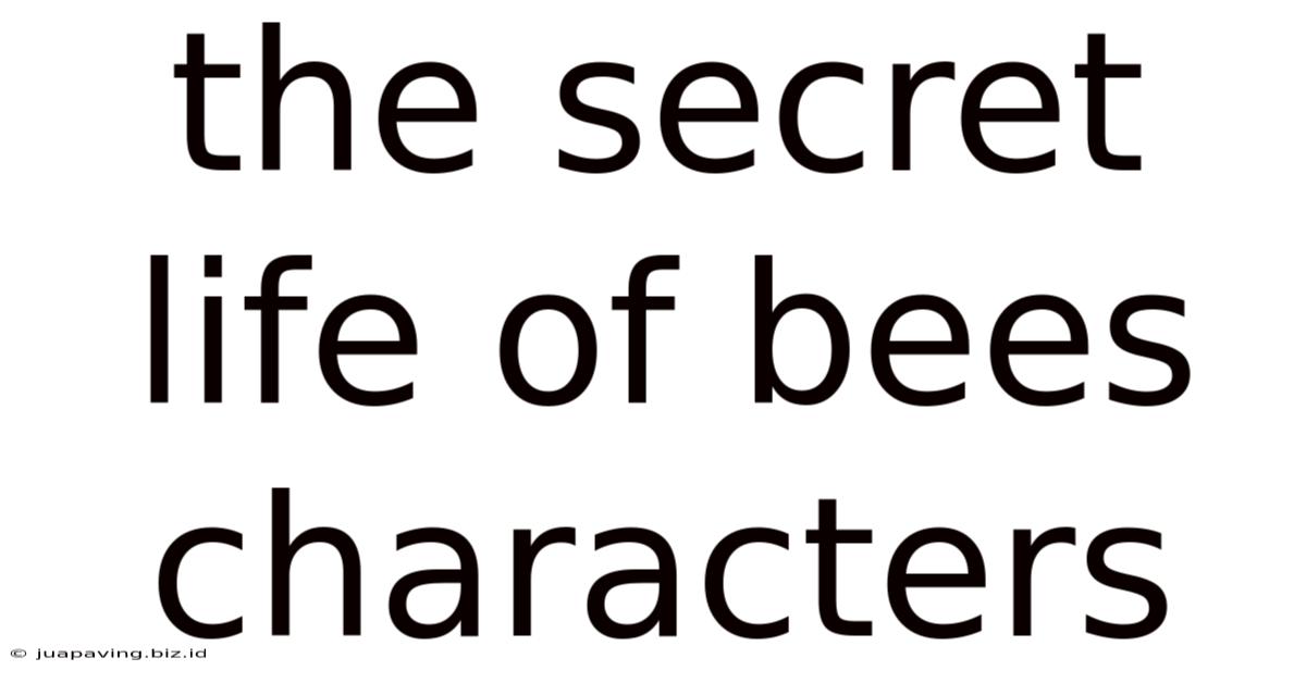 The Secret Life Of Bees Characters