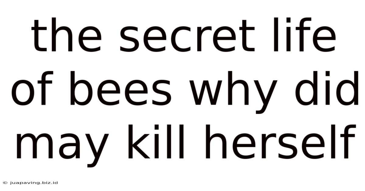 The Secret Life Of Bees Why Did May Kill Herself