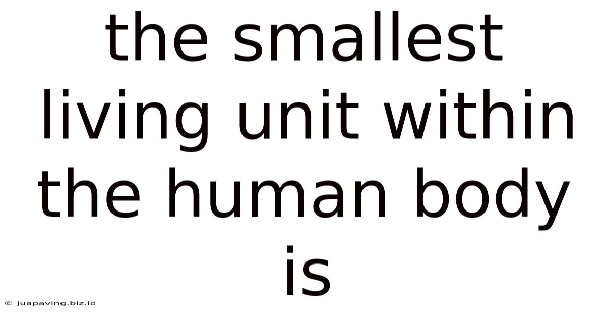 The Smallest Living Unit Within The Human Body Is