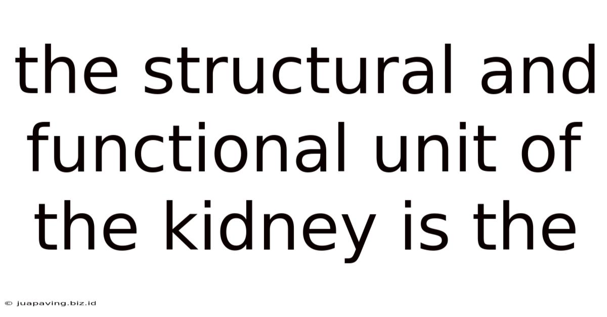 The Structural And Functional Unit Of The Kidney Is The