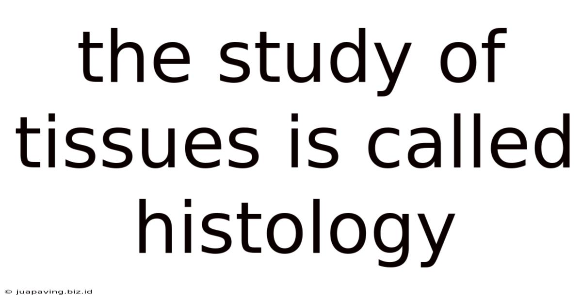 The Study Of Tissues Is Called Histology