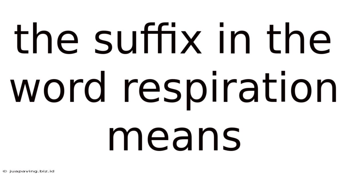 The Suffix In The Word Respiration Means