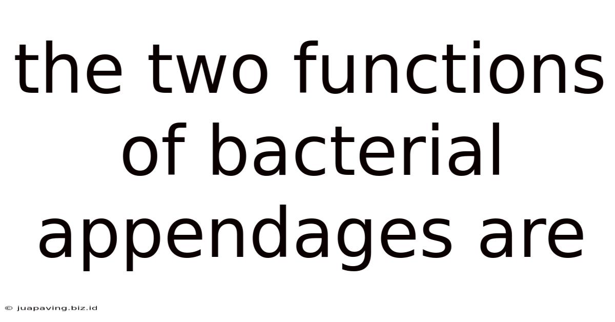 The Two Functions Of Bacterial Appendages Are