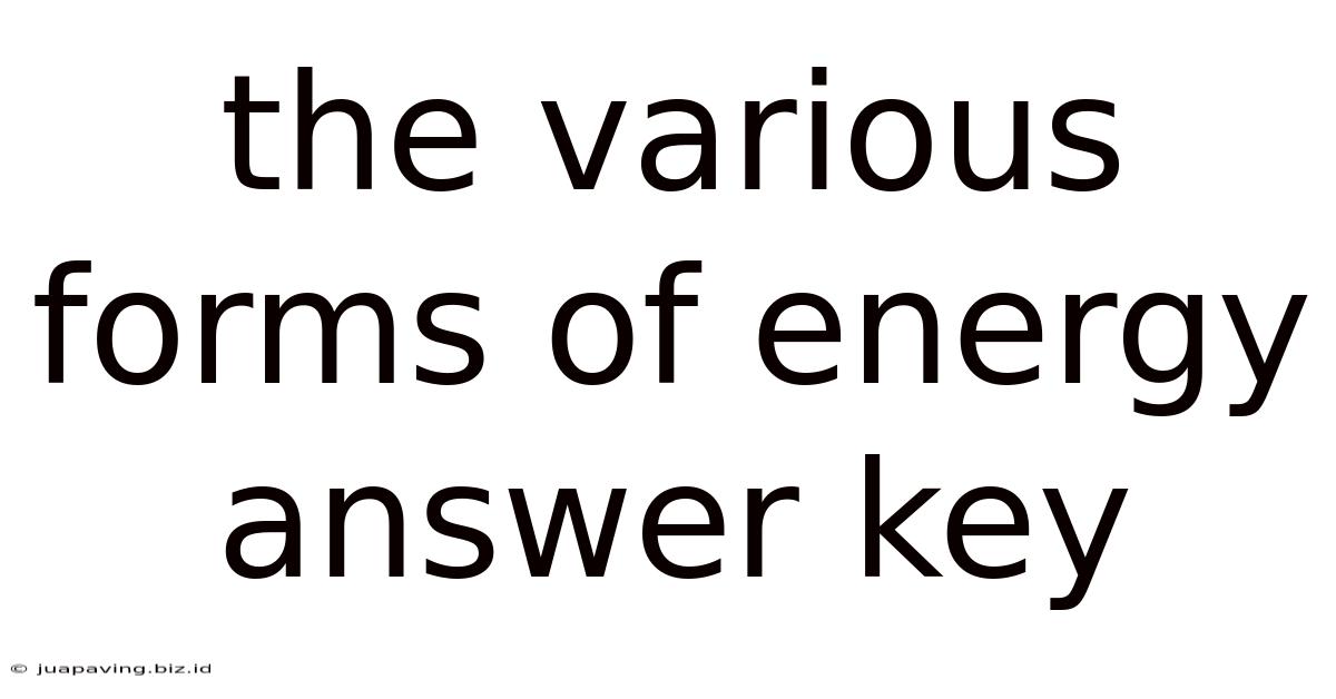 The Various Forms Of Energy Answer Key