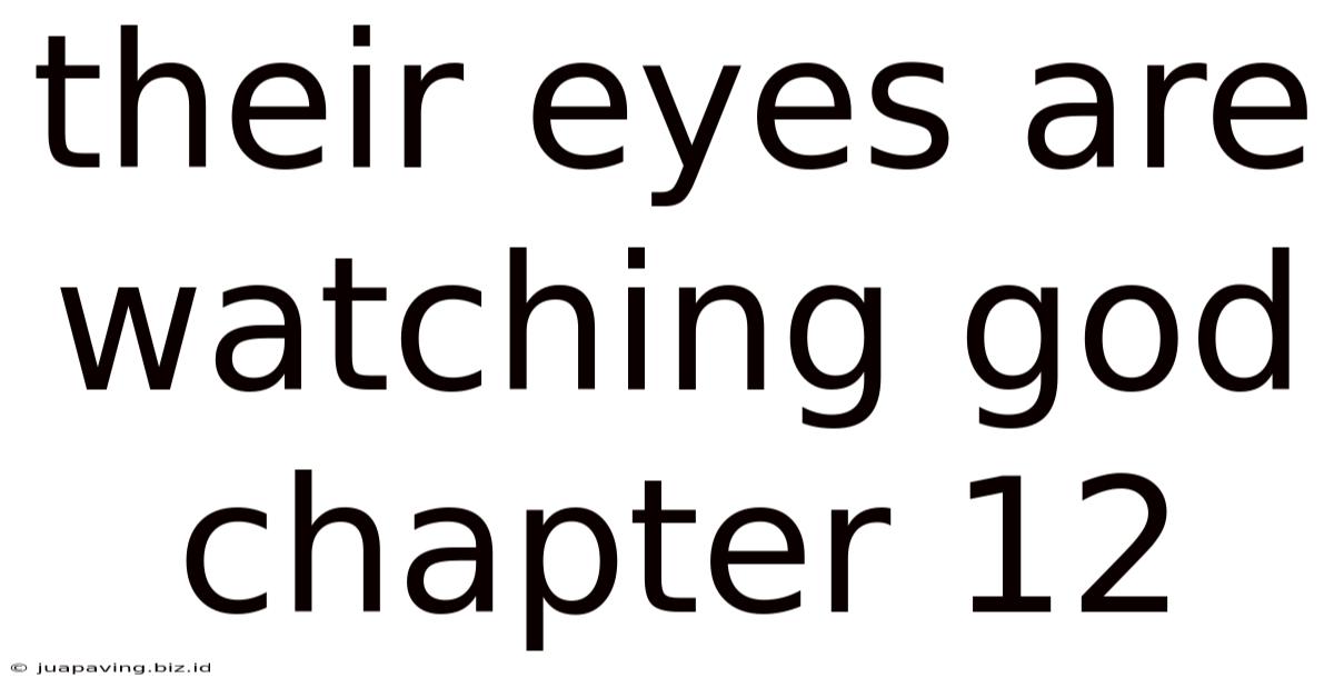 Their Eyes Are Watching God Chapter 12