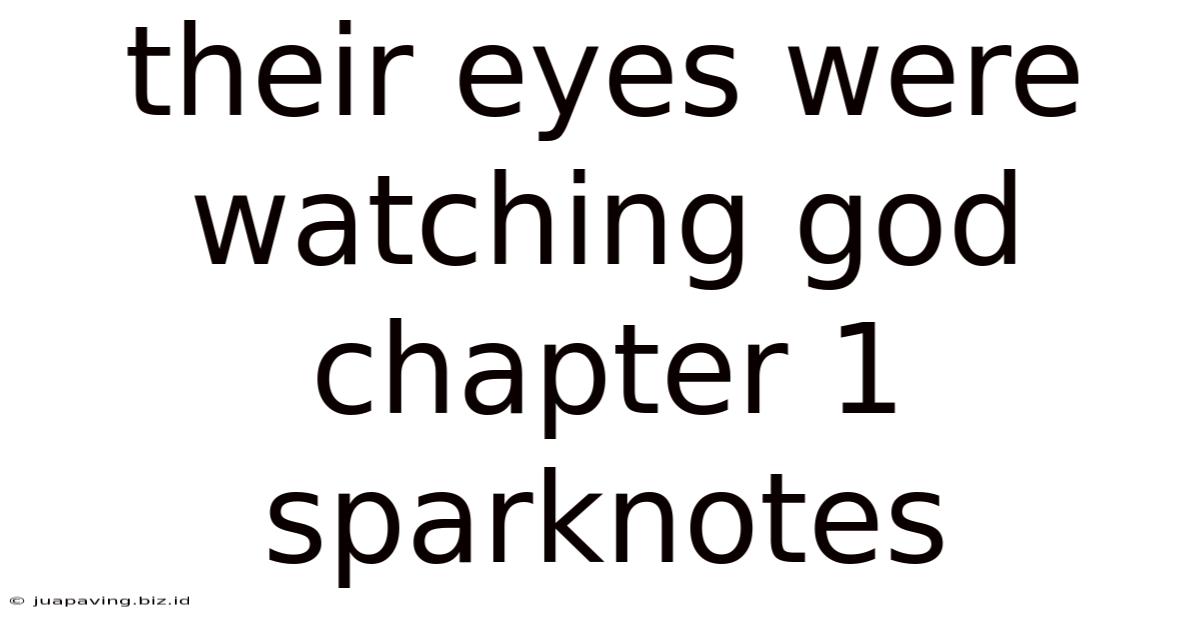 Their Eyes Were Watching God Chapter 1 Sparknotes