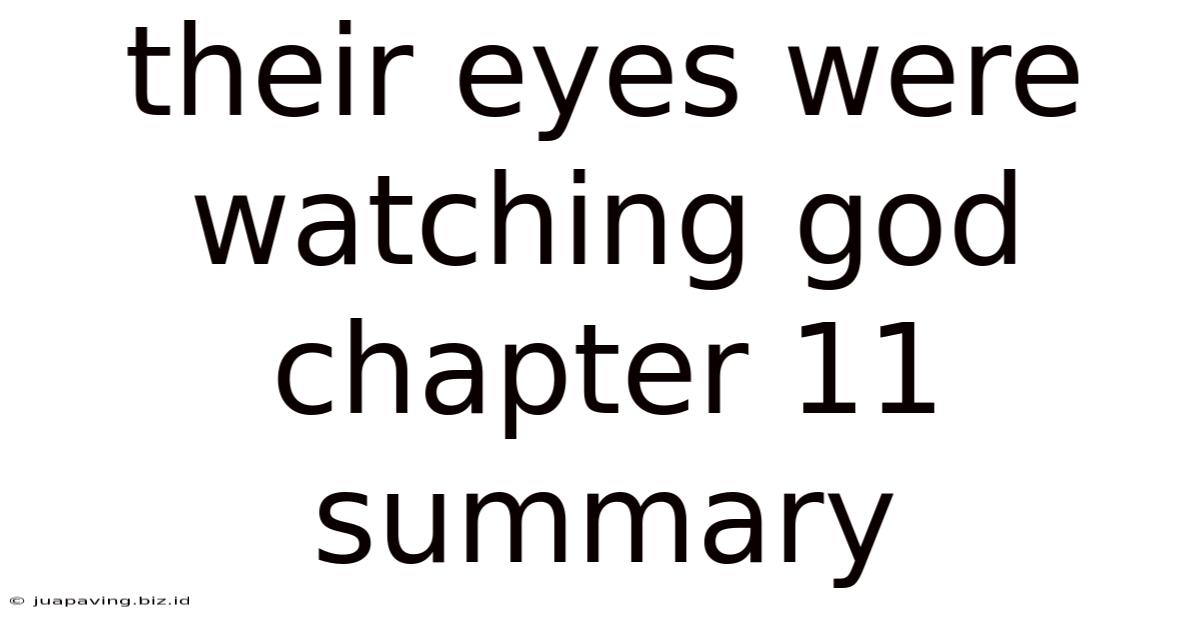 Their Eyes Were Watching God Chapter 11 Summary