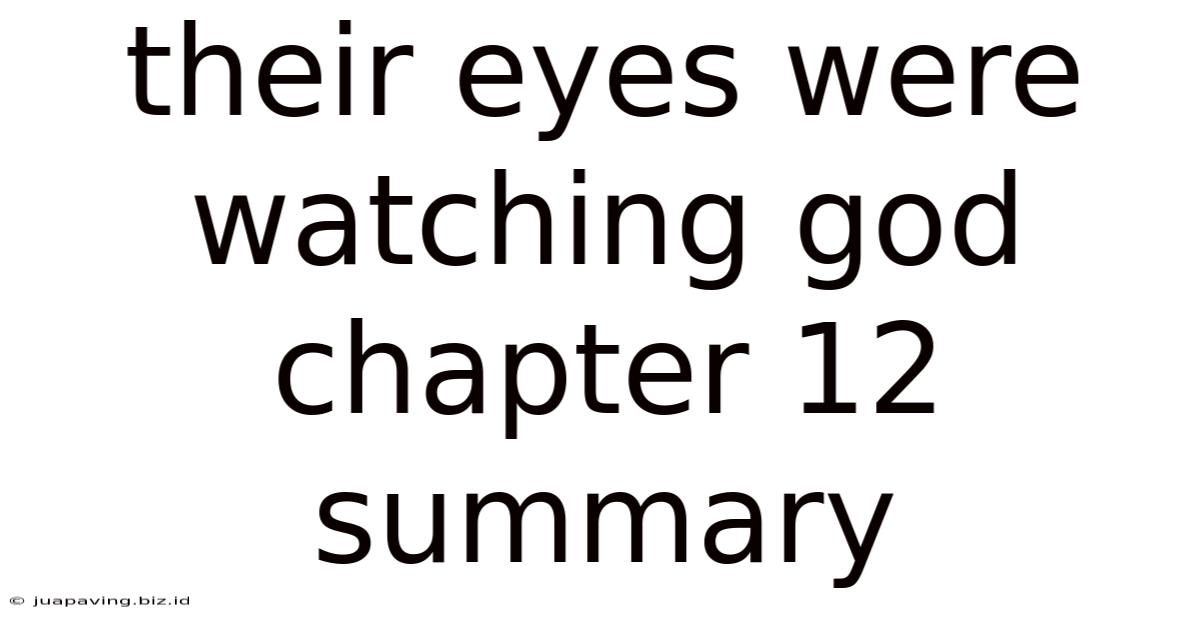 Their Eyes Were Watching God Chapter 12 Summary