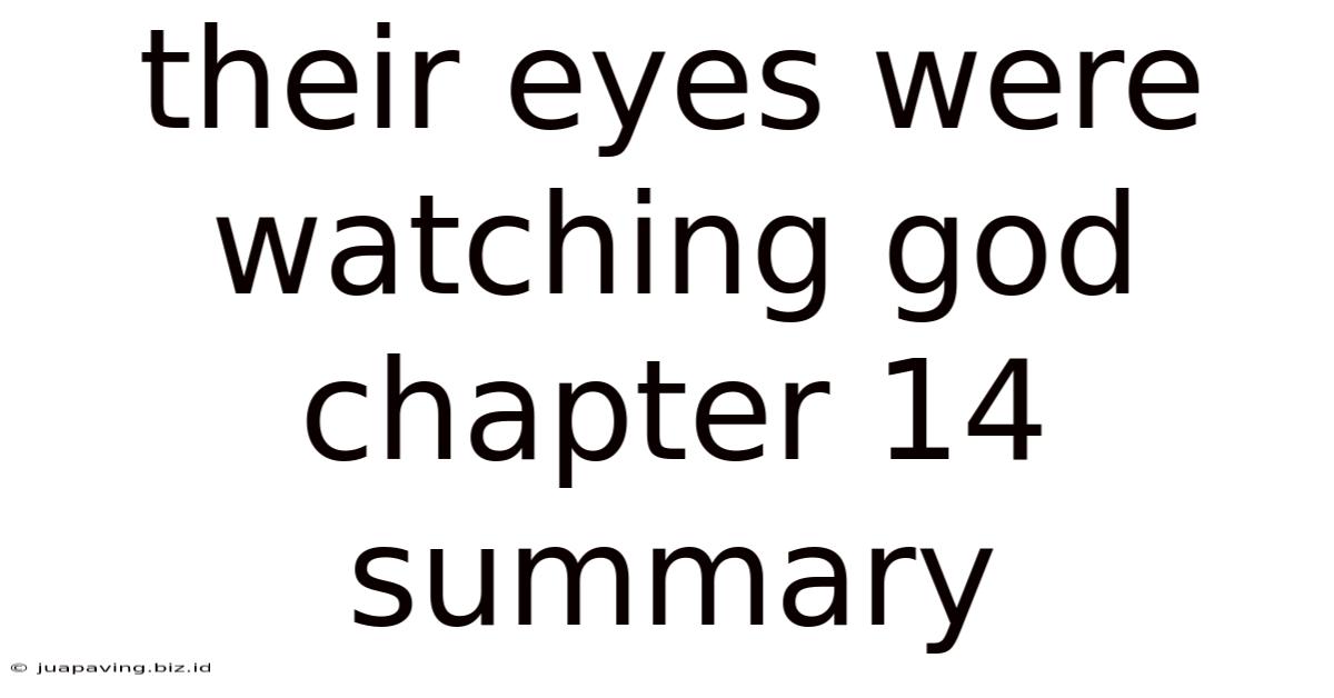 Their Eyes Were Watching God Chapter 14 Summary