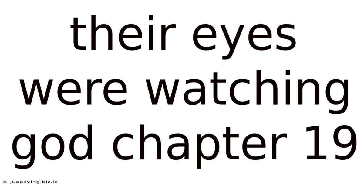 Their Eyes Were Watching God Chapter 19
