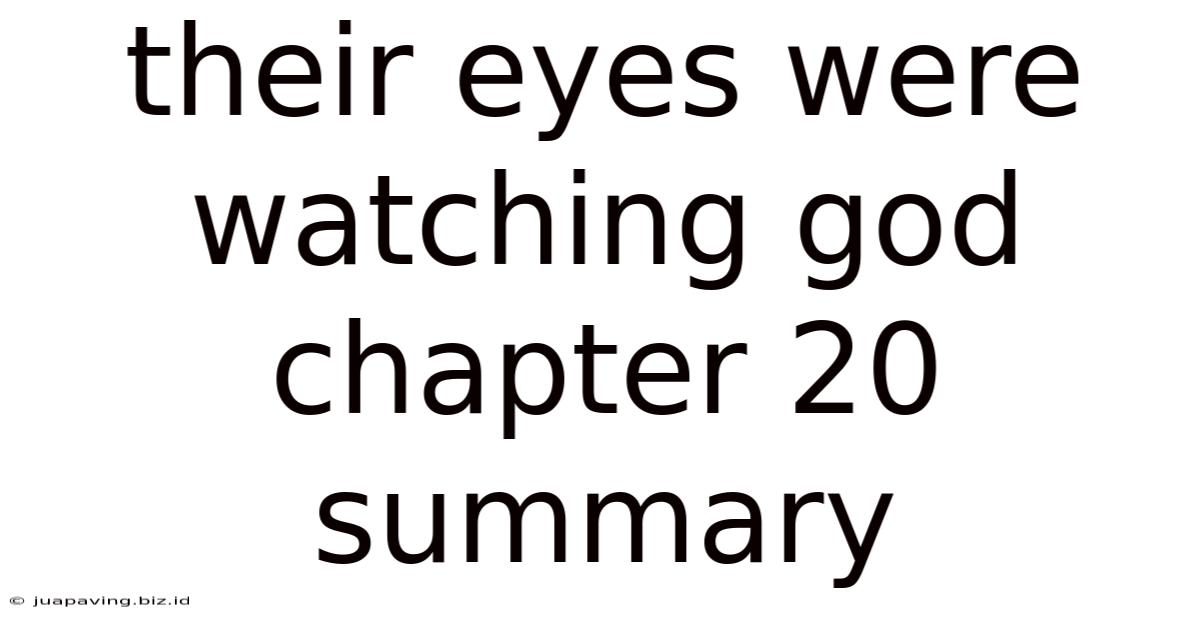 Their Eyes Were Watching God Chapter 20 Summary