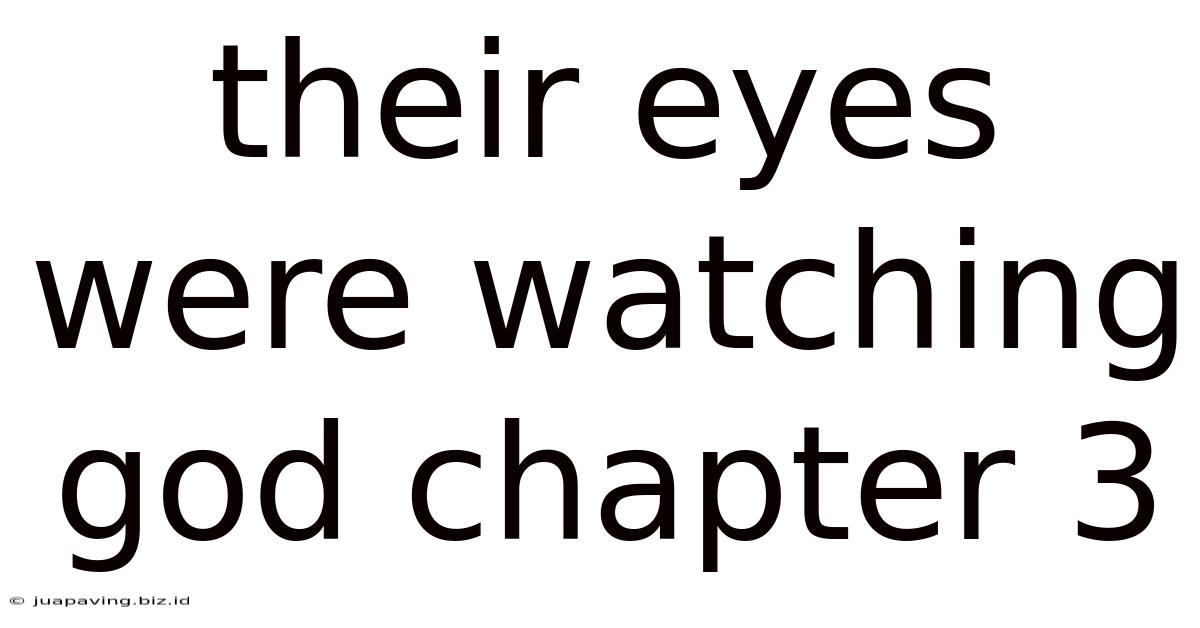 Their Eyes Were Watching God Chapter 3