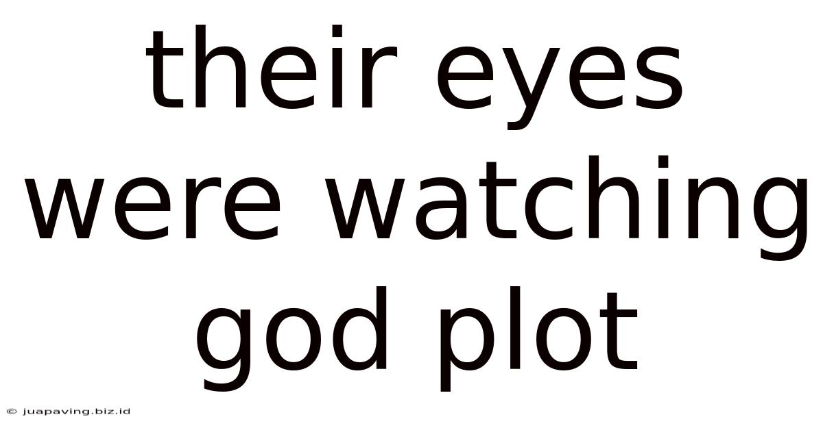 Their Eyes Were Watching God Plot