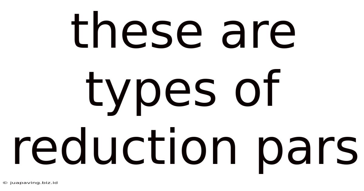 These Are Types Of Reduction Pars