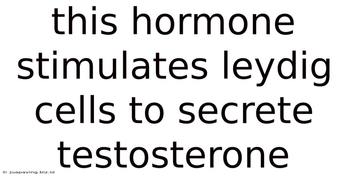 This Hormone Stimulates Leydig Cells To Secrete Testosterone