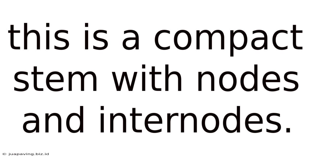 This Is A Compact Stem With Nodes And Internodes.