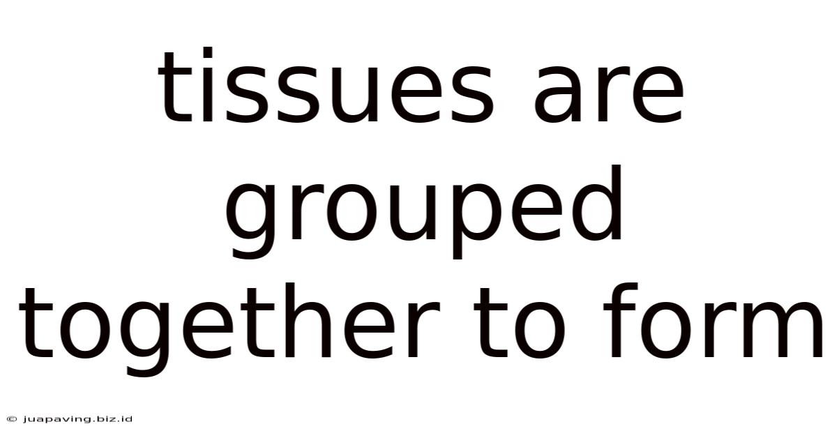 Tissues Are Grouped Together To Form