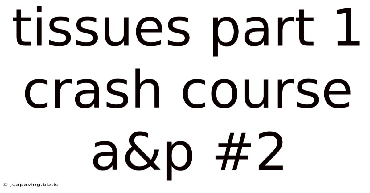 Tissues Part 1 Crash Course A&p #2
