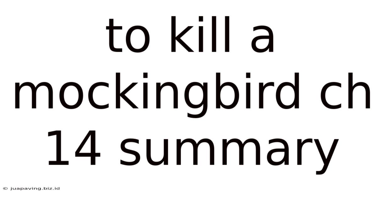 To Kill A Mockingbird Ch 14 Summary