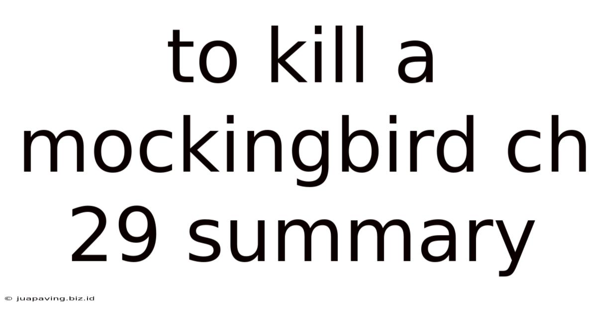 To Kill A Mockingbird Ch 29 Summary