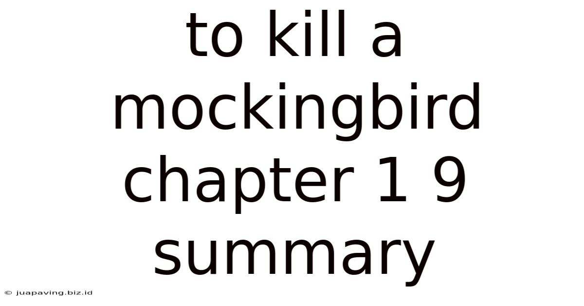 To Kill A Mockingbird Chapter 1 9 Summary