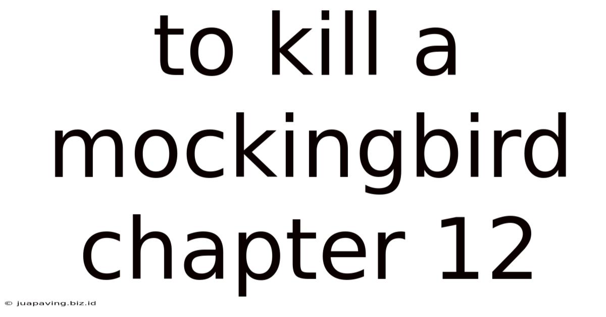 To Kill A Mockingbird Chapter 12