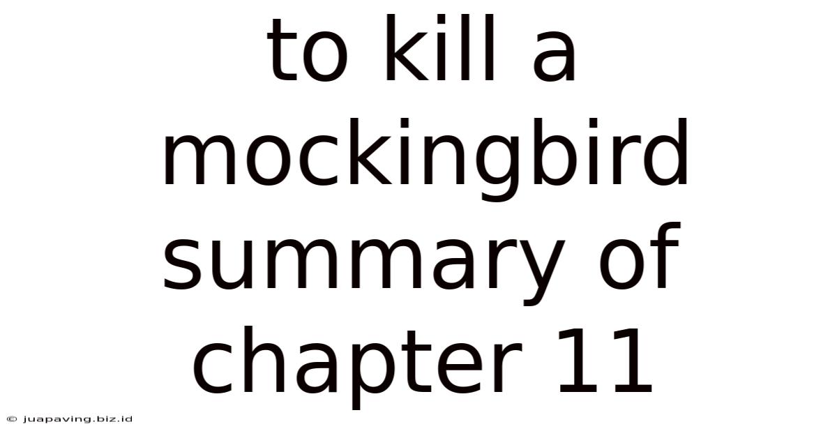 To Kill A Mockingbird Summary Of Chapter 11
