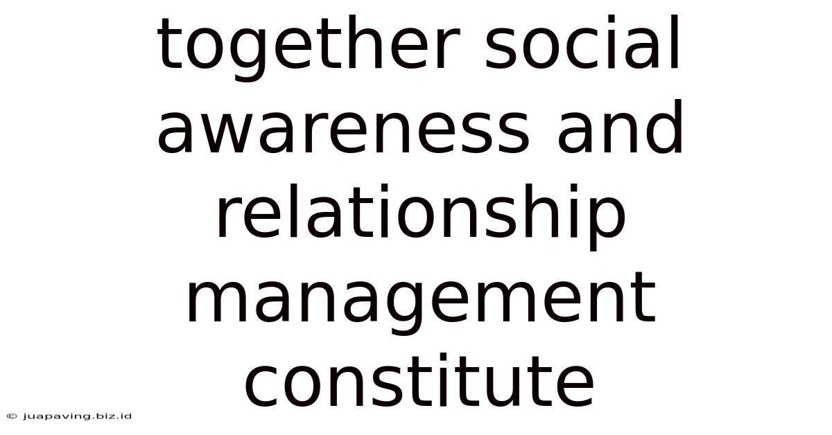 Together Social Awareness And Relationship Management Constitute