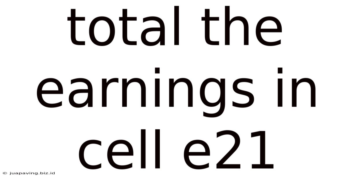 Total The Earnings In Cell E21