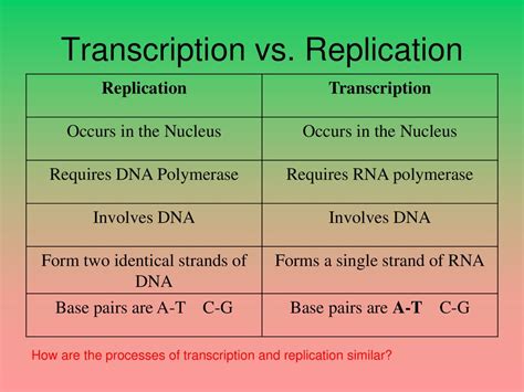 Transcription Is Similar To Dna Replication In That