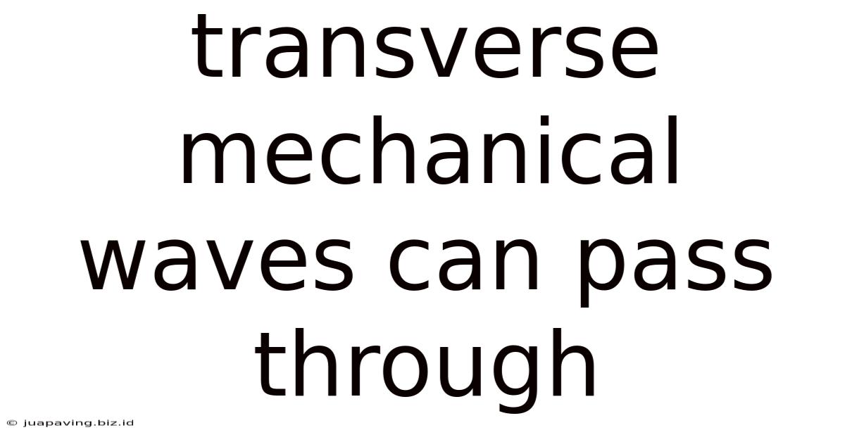 Transverse Mechanical Waves Can Pass Through