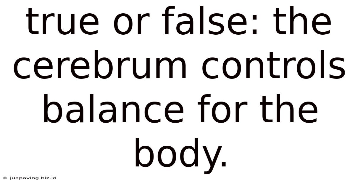True Or False: The Cerebrum Controls Balance For The Body.