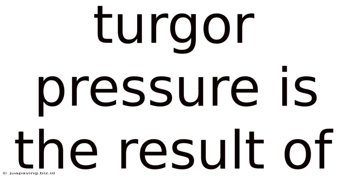 Turgor Pressure Is The Result Of