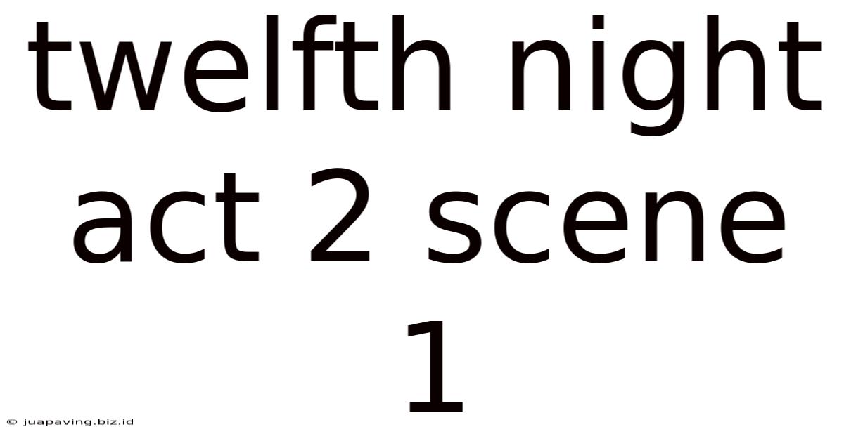 Twelfth Night Act 2 Scene 1