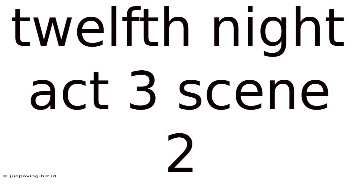Twelfth Night Act 3 Scene 2