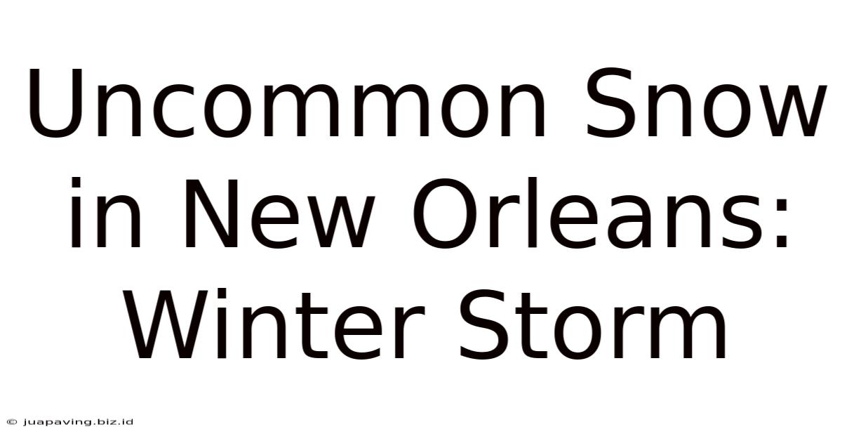 Uncommon Snow In New Orleans: Winter Storm