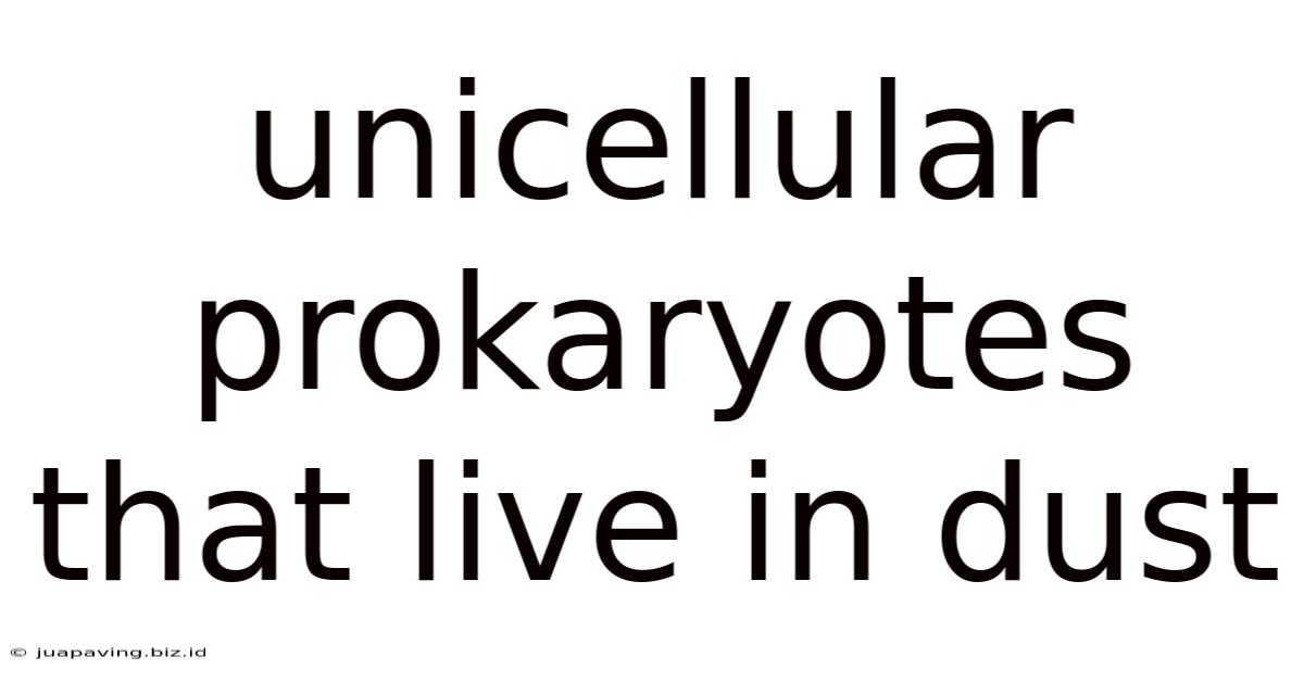 Unicellular Prokaryotes That Live In Dust