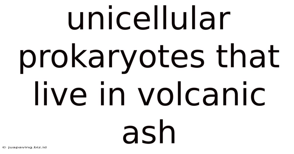 Unicellular Prokaryotes That Live In Volcanic Ash